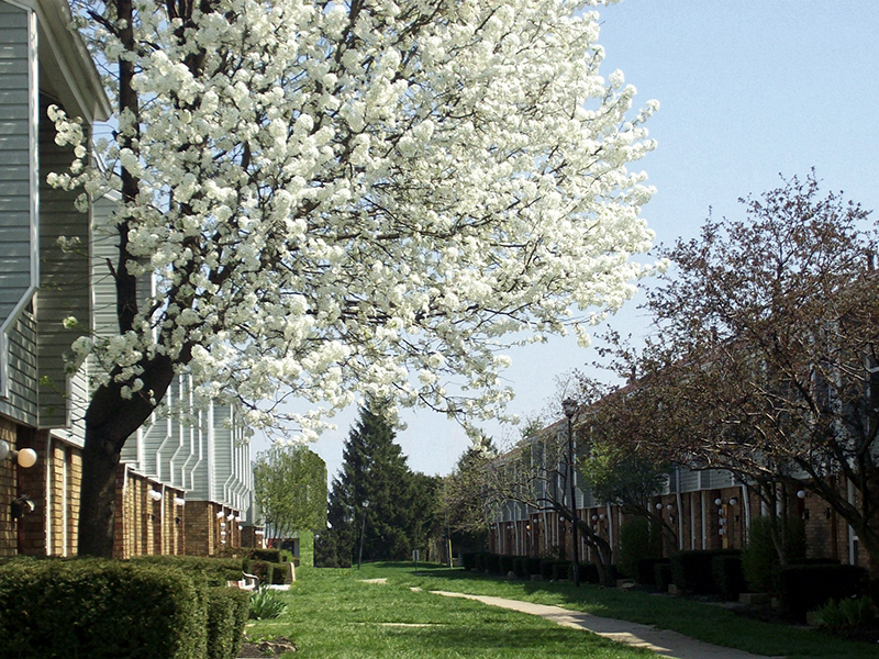 Apartments Columbus